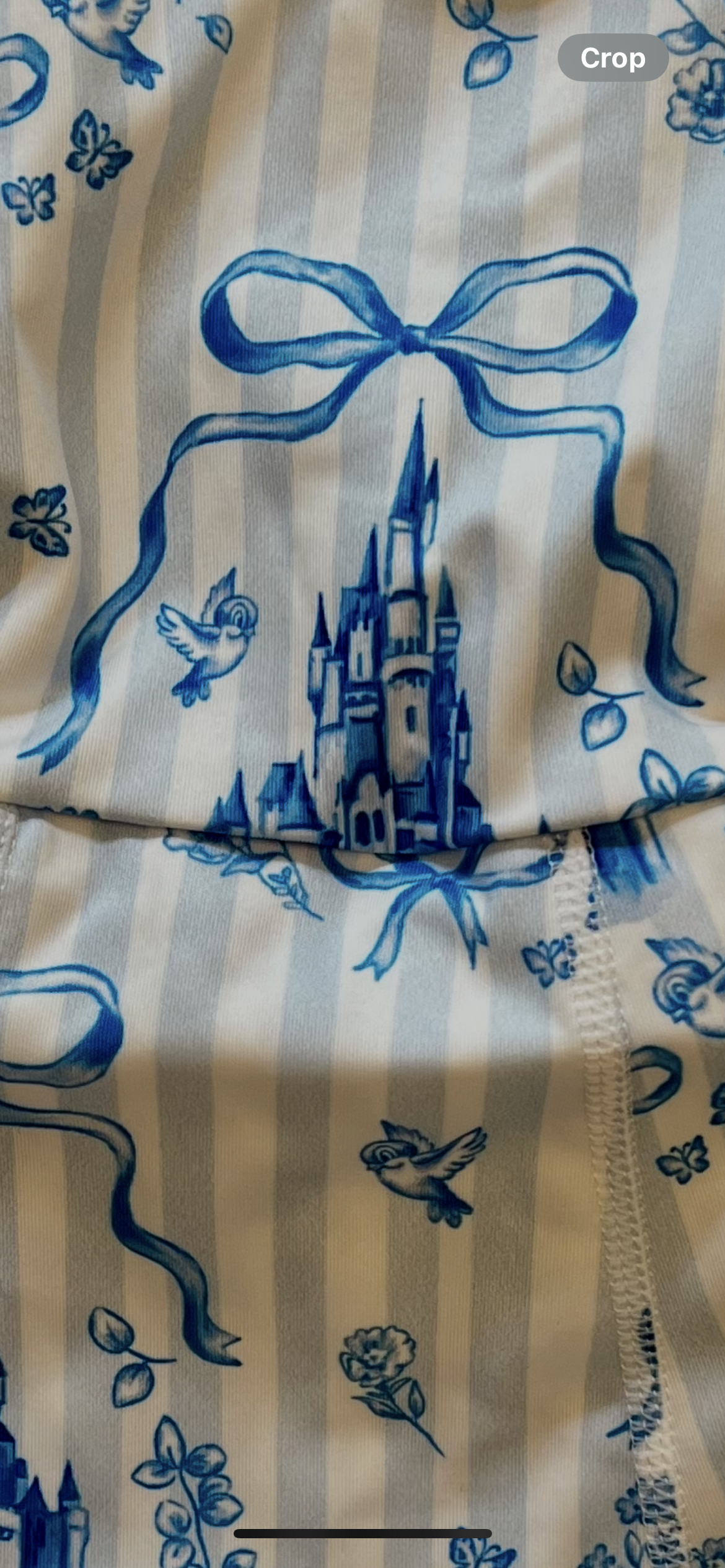 Cinderellas Castle